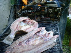 receta474