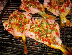 receta715